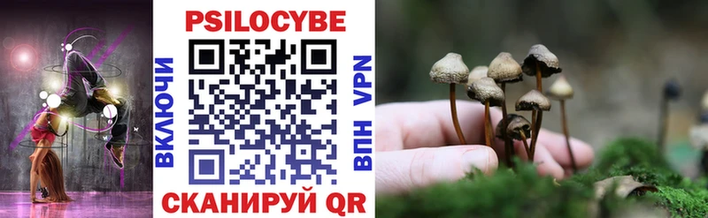 Купить закладки  Беслан  Псилоцибиновые грибы мицелий 