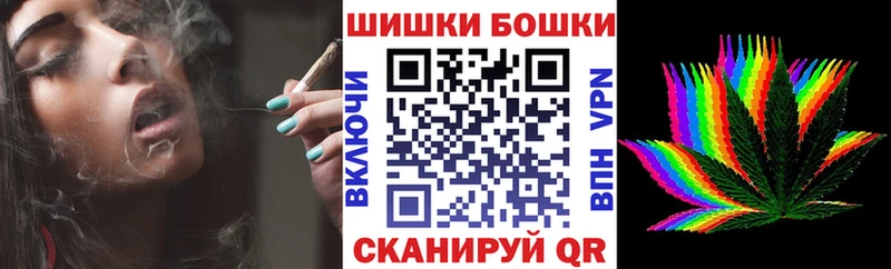 Бошки Шишки планчик Беслан